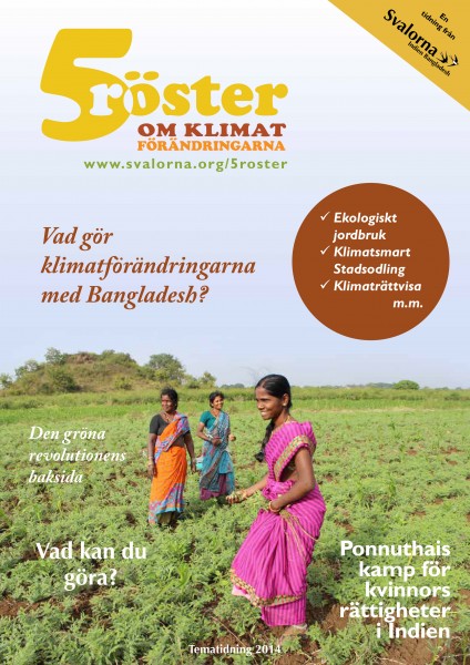 5 röster om klimatförändringarna